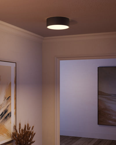 Brisbane 12-in 2 lights Steel Flush Mount