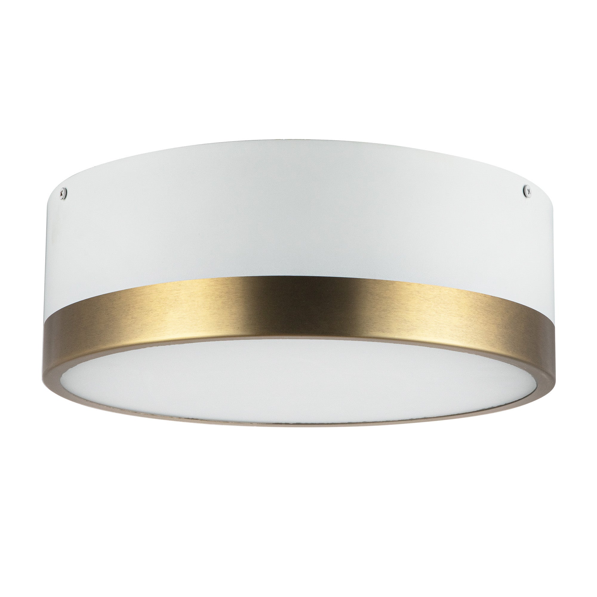 Brisbane 12-in Steel Flush Mount