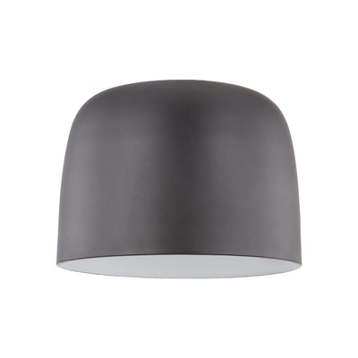 Cayne 12-in Steel Flush Mount