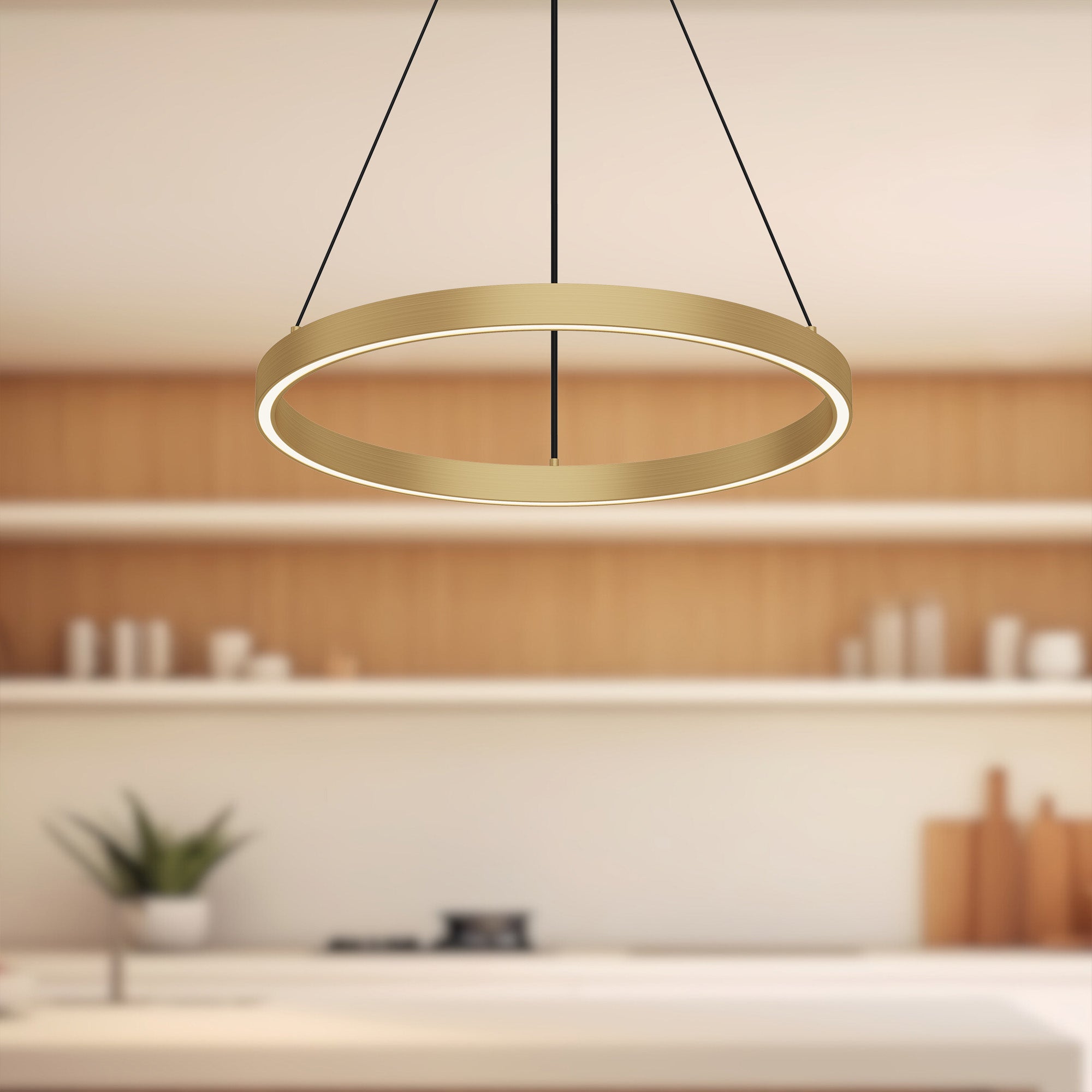 Cerchio 18-in Dimmable LED Downlight Pendant