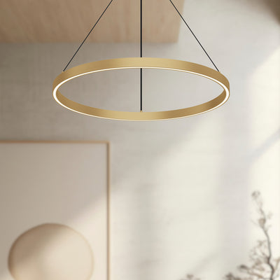 Cerchio 24-in Dimmable LED Downlight Pendant