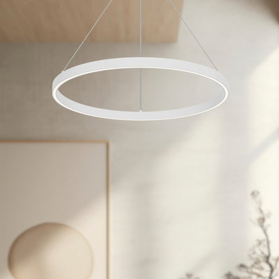 cerchio-24-in-dimmable-led-downlight-pendant-