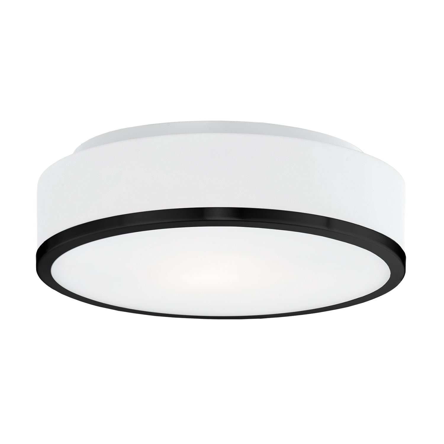 Charlie 12-in 2 lights Steel Flush Mount