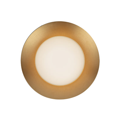 Cleo 9-in Steel Wall Sconce