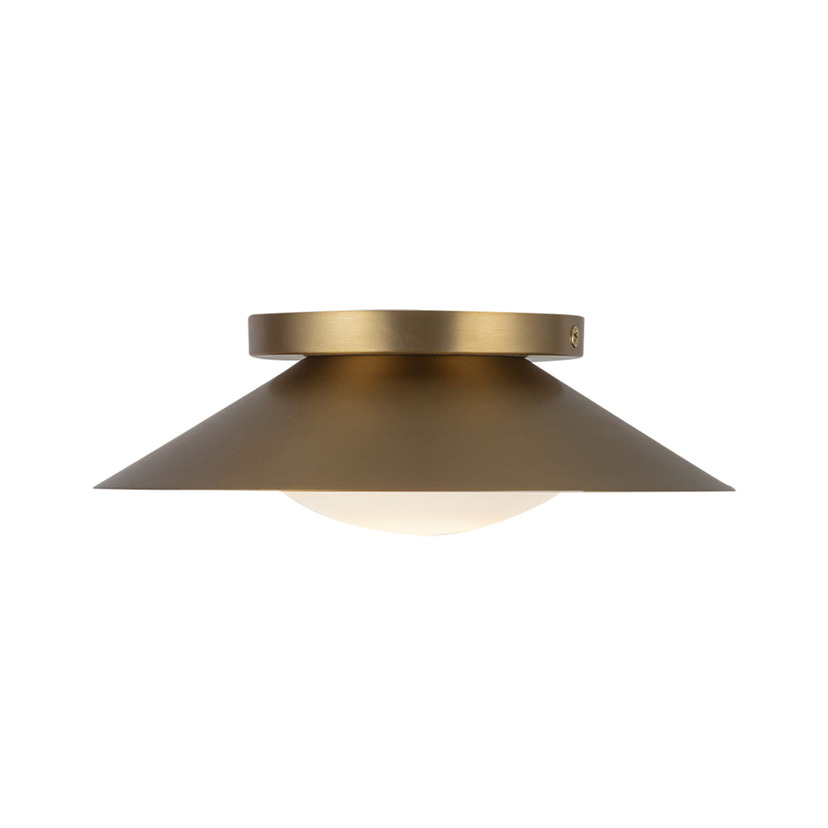 Cleo 9-in Steel Wall Sconce