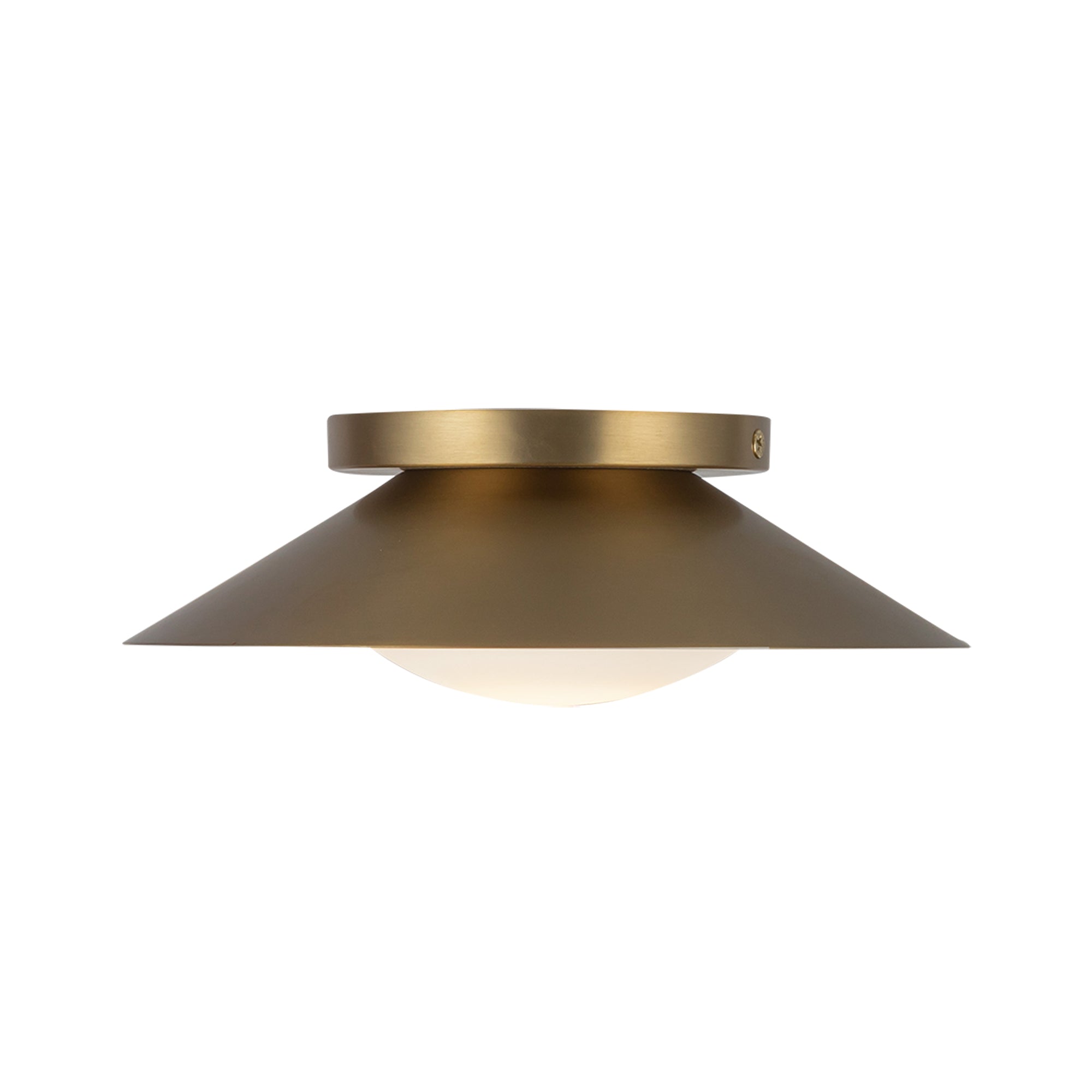 Cleo 9-in Steel Wall Sconce