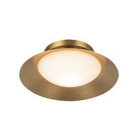 Cleo 9-in Steel Wall Sconce