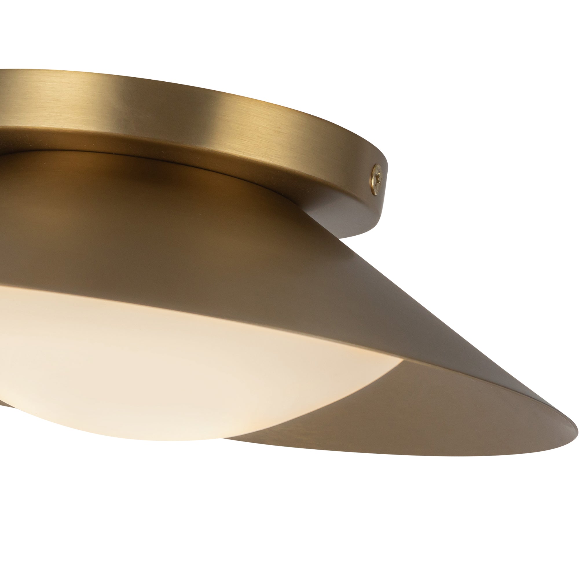 Cleo 9-in Steel Wall Sconce