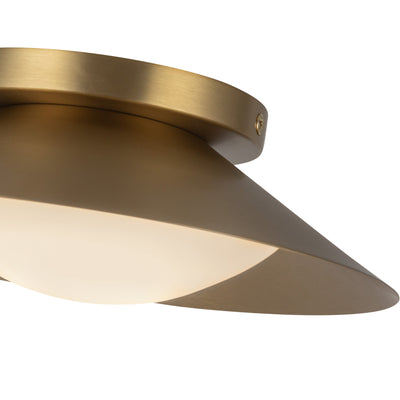 Cleo 9-in Steel Wall Sconce