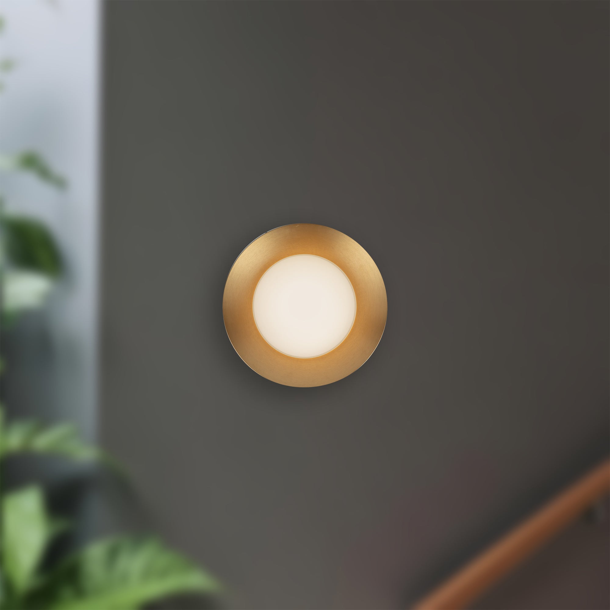 Cleo 9-in Steel Wall Sconce