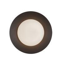 Cleo 9-in Steel Wall Sconce