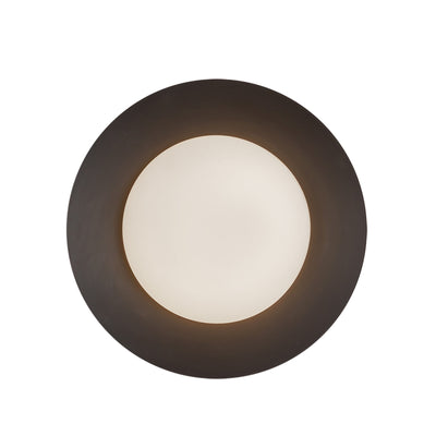 Cleo 9-in Steel Wall Sconce