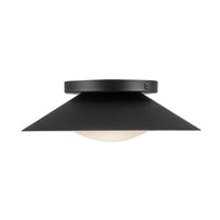 Cleo 9-in Steel Wall Sconce