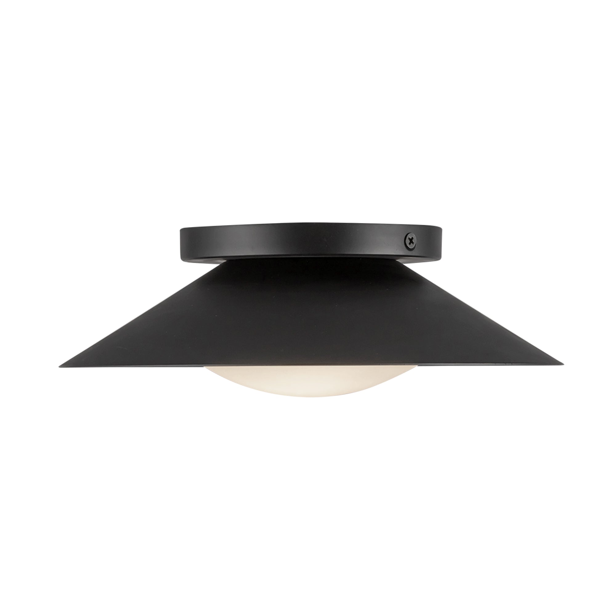 Cleo 9-in Steel Wall Sconce