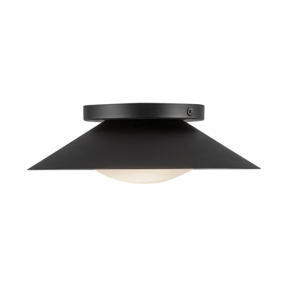 Cleo 9-in Steel Wall Sconce