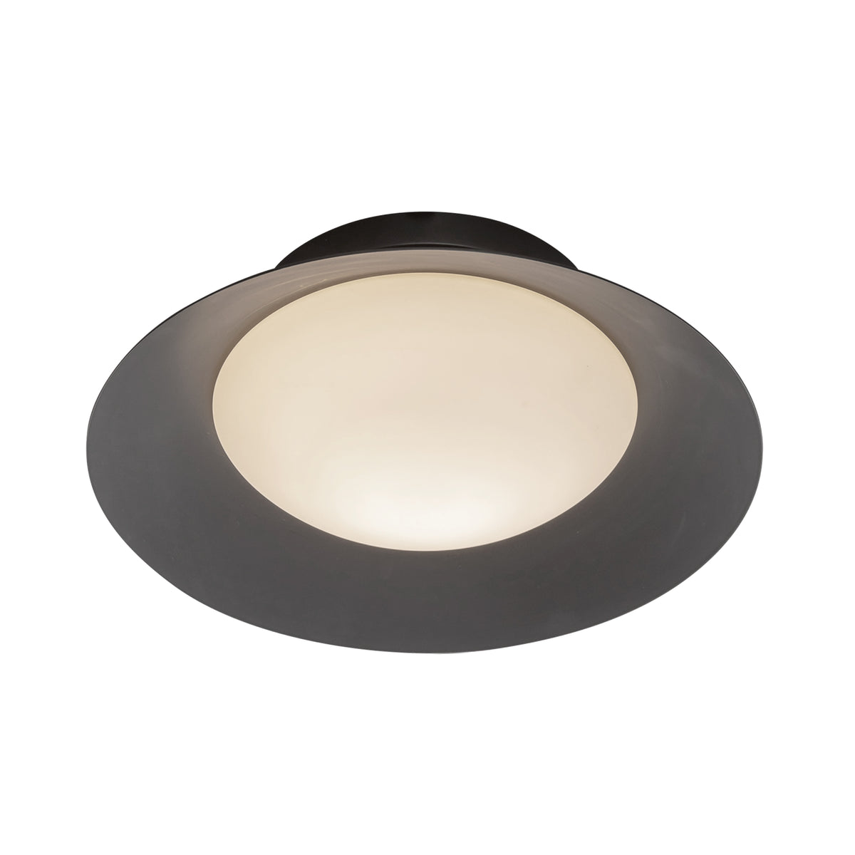 Cleo 9-in Steel Wall Sconce