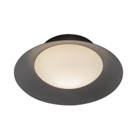 Cleo 9-in Steel Wall Sconce