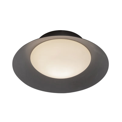 Cleo 9-in Steel Wall Sconce