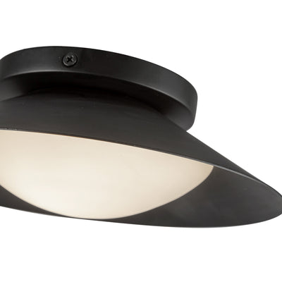 Cleo 9-in Steel Wall Sconce