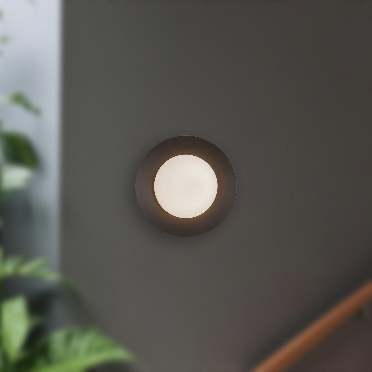 Cleo 9-in Steel Wall Sconce