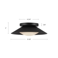 Cleo 9-in Steel Wall Sconce
