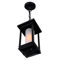 Granville 1 Light Black Outdoor Hanging Light