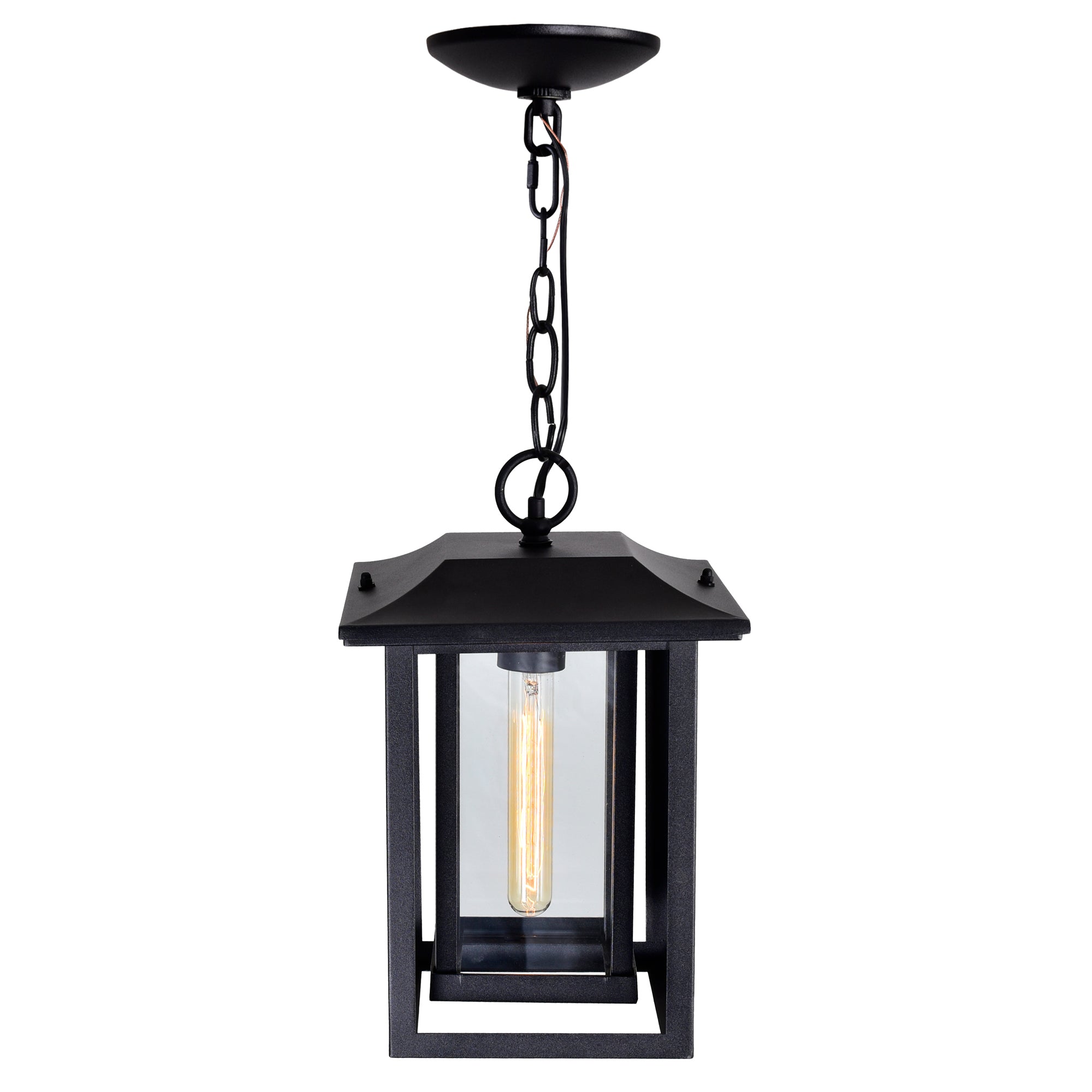 Winfield 1 Light Black Outdoor Pendant Hanging Lantern