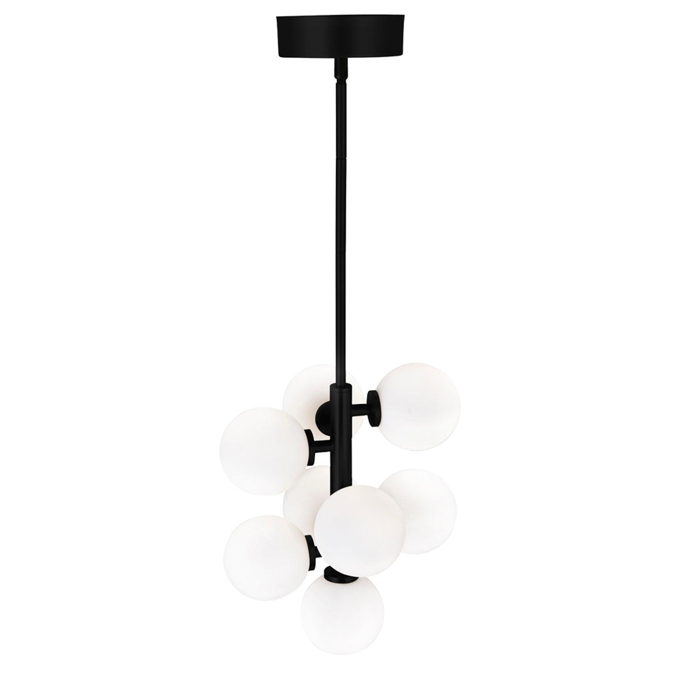 Arya Pendants 8 Lights Black Finish
