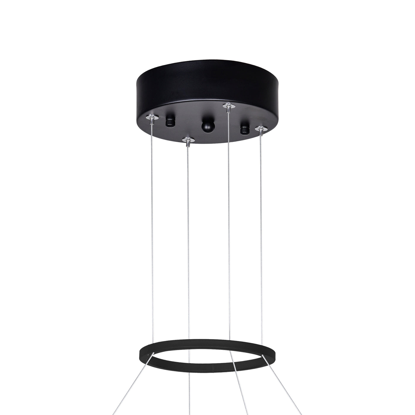 Rosalina Chandeliers 20in Matte Black LED