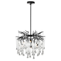 Anita Chandeliers 6 Light Black Finish