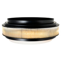 Valdivia Flush Mounts 4 Lights Black Finish