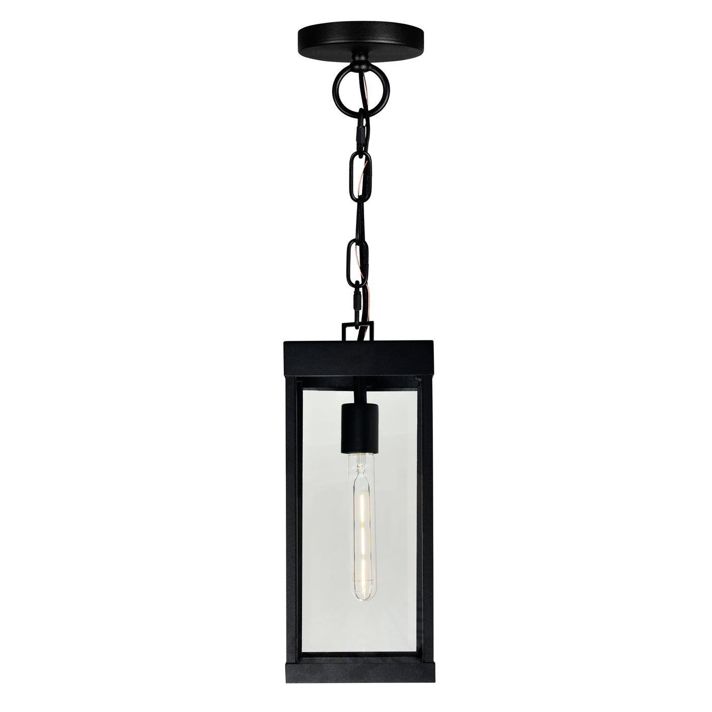 Windsor Outdoor Hanging Lights Black 1 Light