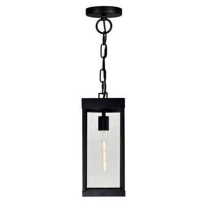 Windsor Outdoor Hanging Lights Black 1 Light