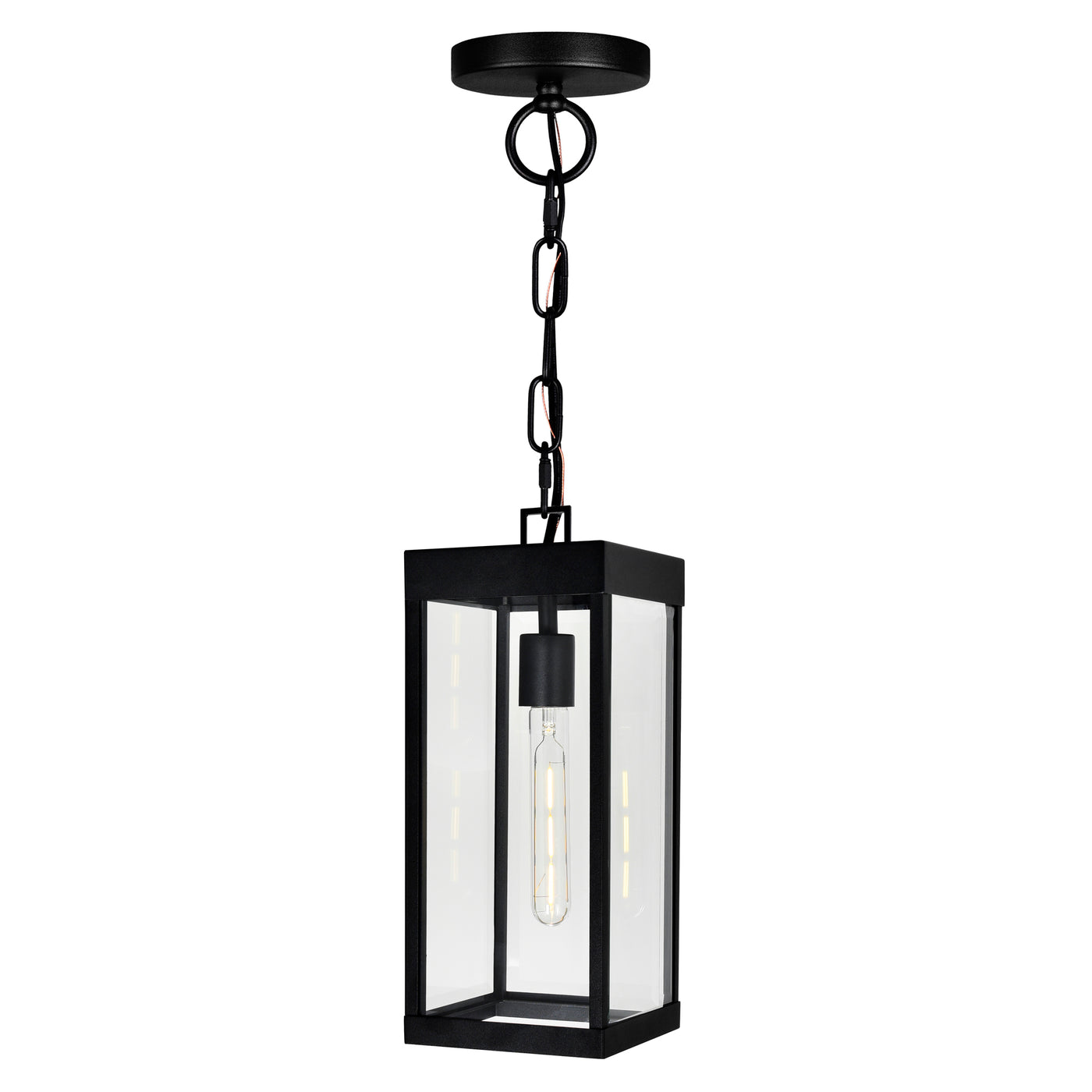 Windsor Outdoor Hanging Lights Black 1 Light