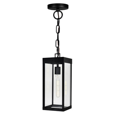 Windsor Outdoor Hanging Lights Black 1 Light