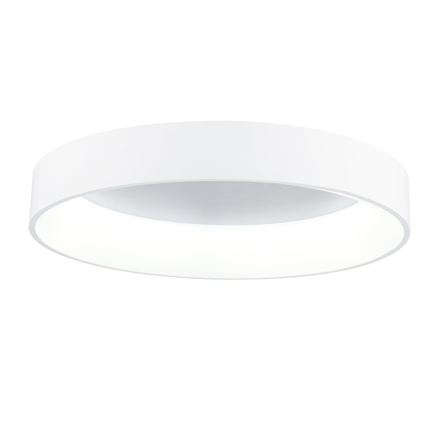 Arenal 1 Light 24 Inch Integrated LED White Flush Mount