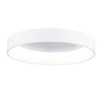 Arenal 1 Light 24 Inch Integrated LED White Flush Mount