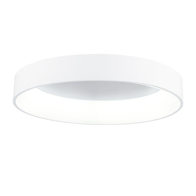 Arenal 1 Light 24 Inch Integrated LED White Flush Mount