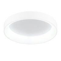 Arenal 1 Light 24 Inch Integrated LED White Flush Mount