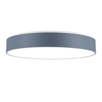 Arenal 24 Inch Integrated LED Gray Flush Mount Light