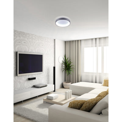 Arenal 24 Inch Integrated LED Gray Flush Mount Light