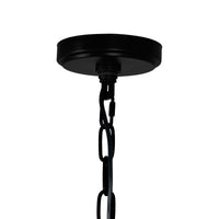 Amazon 4 Light Black Pendant Light