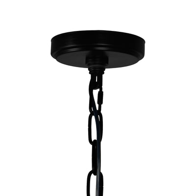 Amazon 4 Light Black Pendant Light