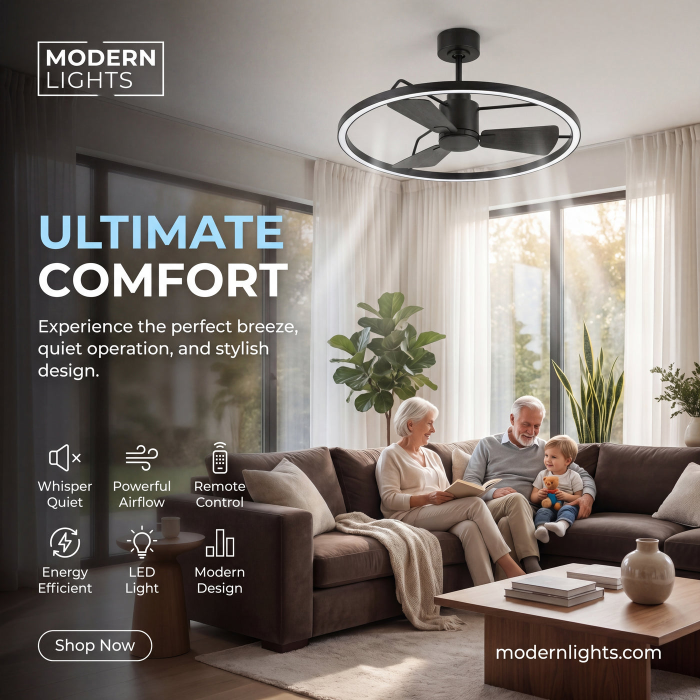 28 Inch 1 Light LED DC Black Fan with Remote