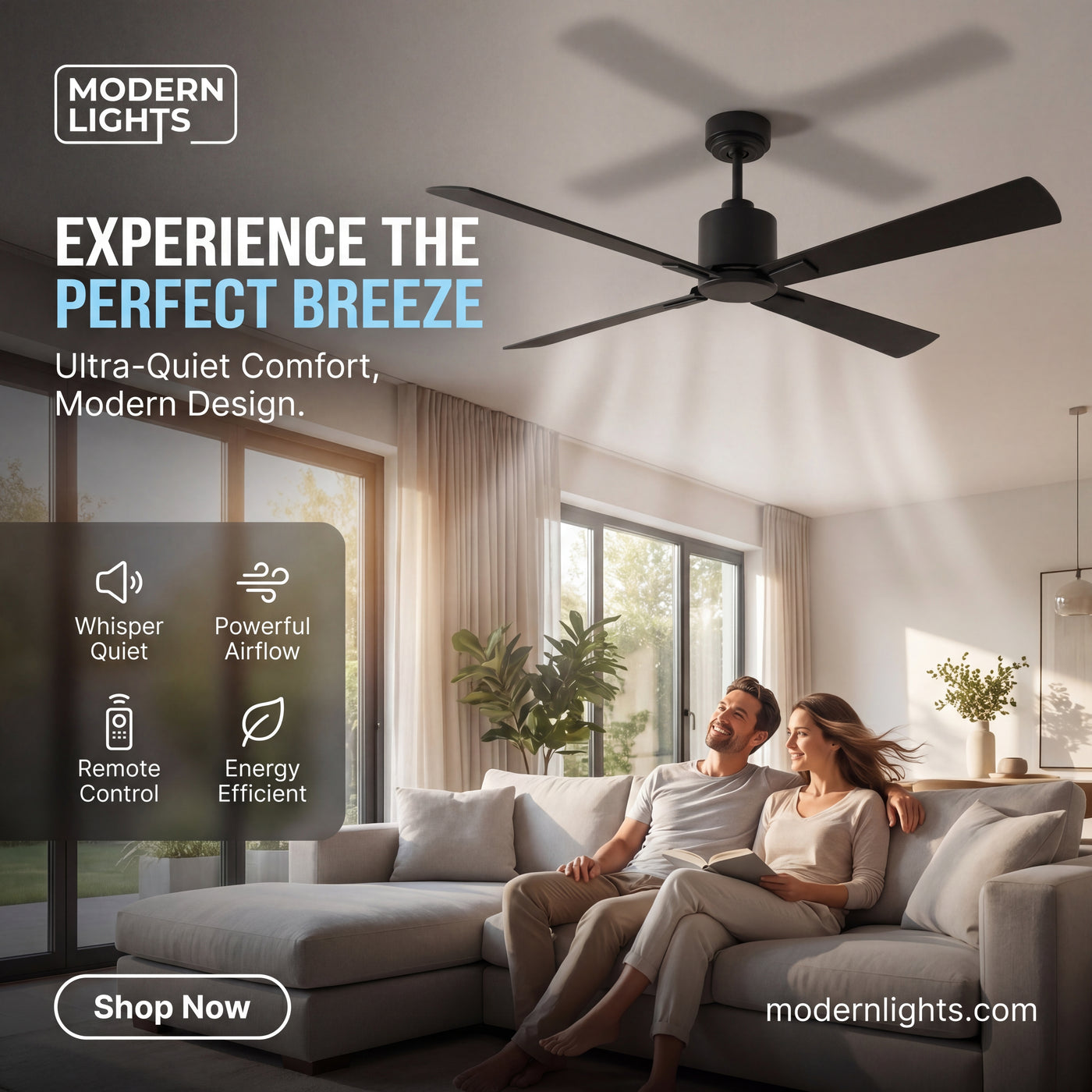 52 Inch DC Black Fan with Remote