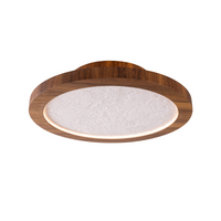 3.94'' Contemporary Petra LED Accord Flush Mount Light