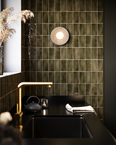 Dahlia 6-in Steel Vanity Light