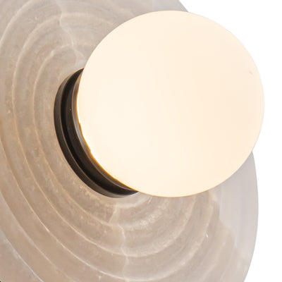 Dahlia 14-in Steel Vanity Light