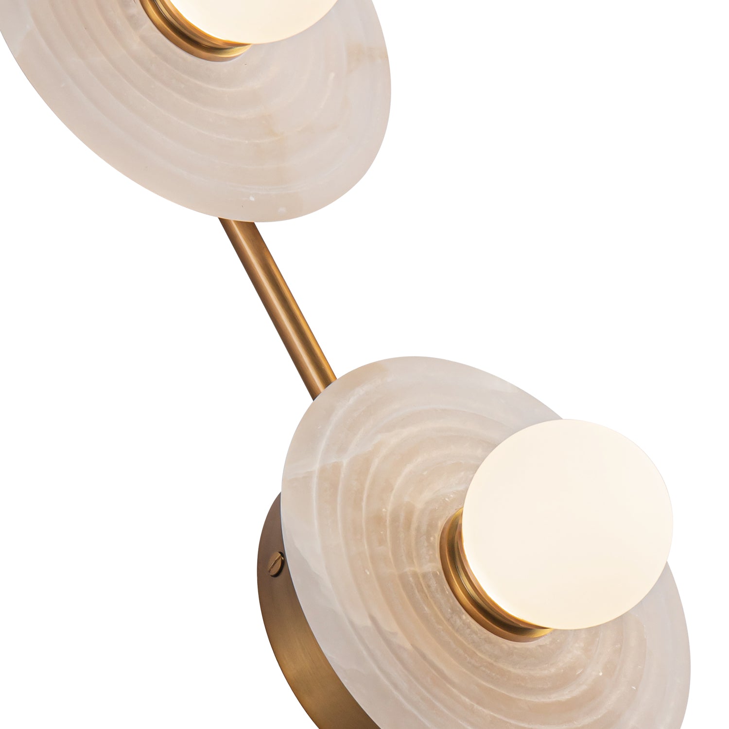 Dahlia 14-in Steel Vanity Light