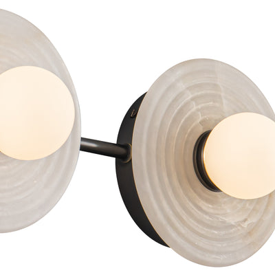 Dahlia 22-in Steel Vanity Light